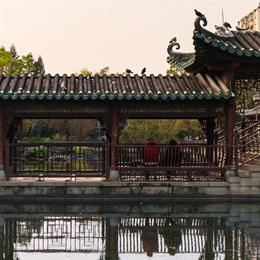 Lingnan Garden within the park offers a secluded resting place with seats and shelters for the public. The combination of traditional Chinese architectural elements, reflective pools and ornamental planting these gardens also provide excellent photographic opportunities.
